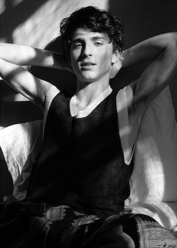 Timothée Chalamet | 6 New Generation Male Hollywood Hotties | Her Beauty